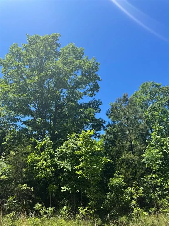Photo 6 — 23 Vista Ridge Trail, Watson, OK 74957