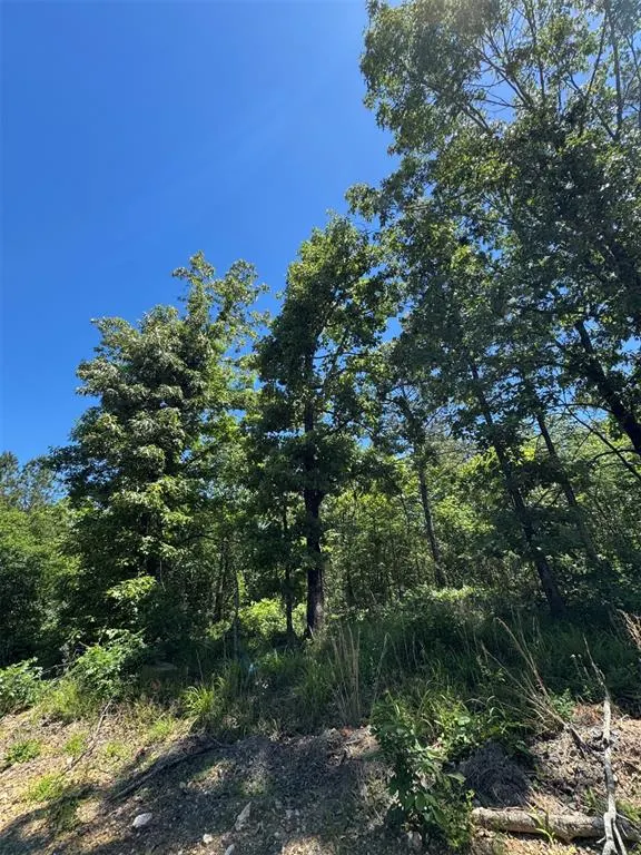 Photo 7 — 23 Vista Ridge Trail, Watson, OK 74957