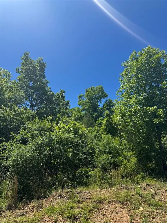 Photo 6 — 24 Vista Ridge Trail, Watson, OK 74957