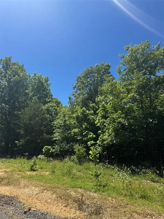 Photo 5 — 25 Vista Ridge Trail, Watson, OK 74957