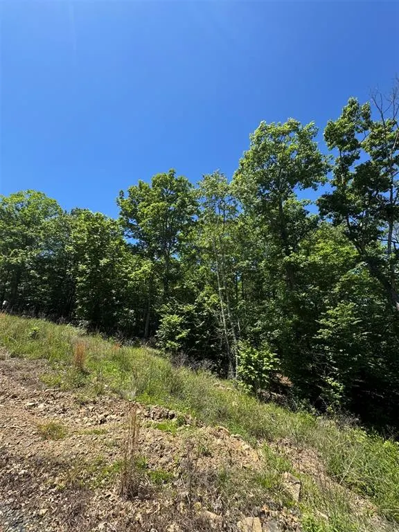 Photo 5 — 27 Mountain Bluff Trail, Watson, OK 74957