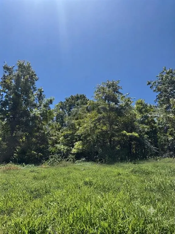 Photo 5 — 29 Starry Night Court, Watson, OK 74957