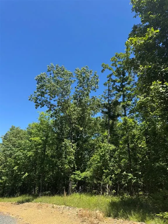 Photo 5 — 33 Starry Night Court, Watson, OK 74957