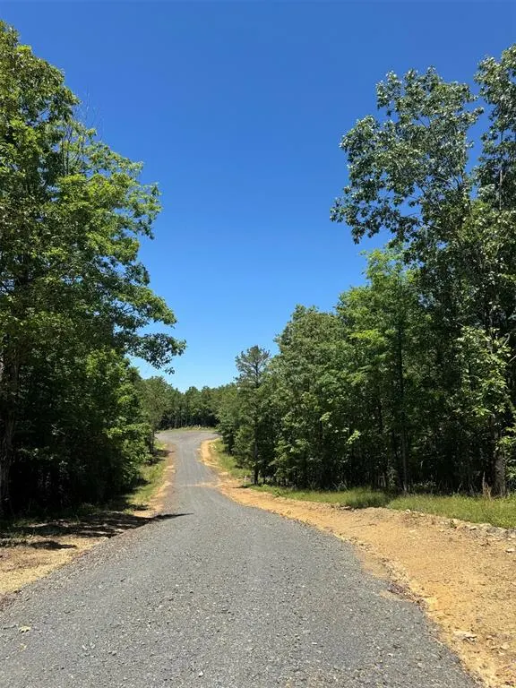 Photo 6 — 33 Starry Night Court, Watson, OK 74957
