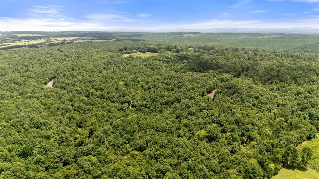 Photo 4 — 33 Starry Night Court, Watson, OK 74957