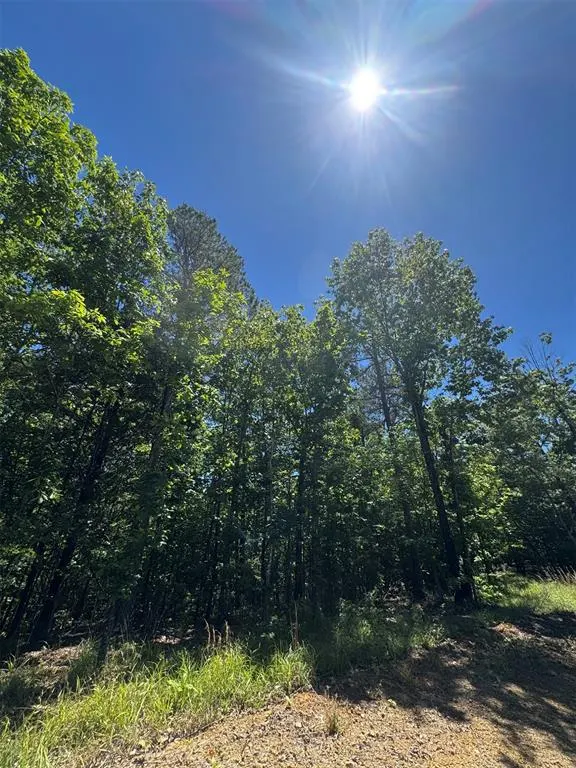 Photo 6 — 35 Starry Night Court, Watson, OK 74957