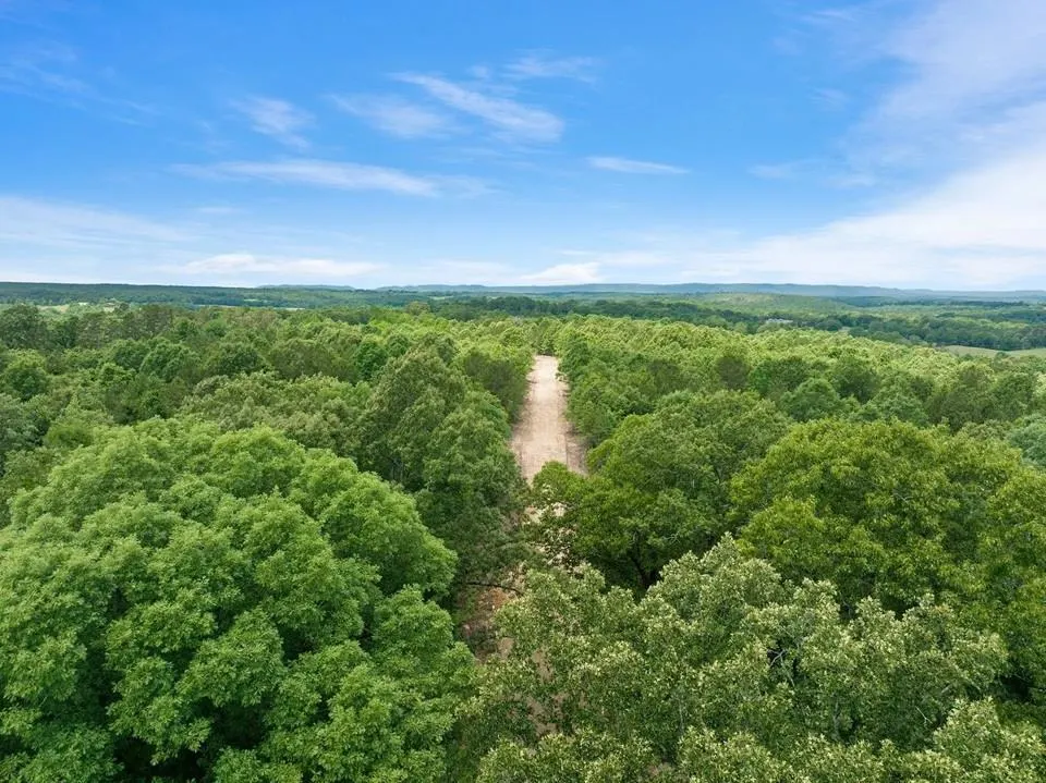 Photo 7 — 35 Starry Night Court, Watson, OK 74957