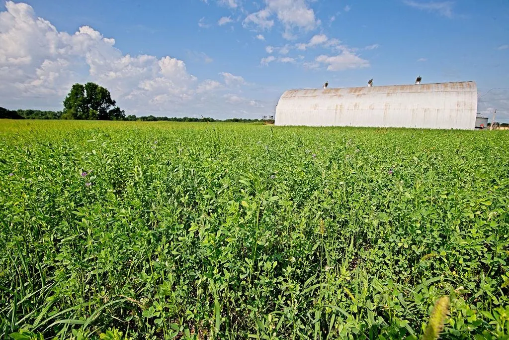Photo 44 — 6001 N Midwest Boulevard, Oklahoma City, OK 73141