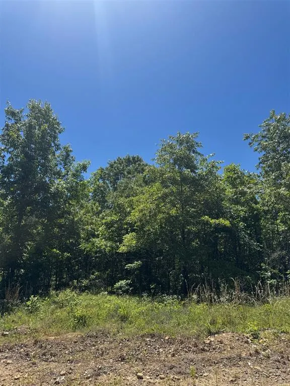 Photo 6 — 47 Hillside Way, Watson, OK 74957