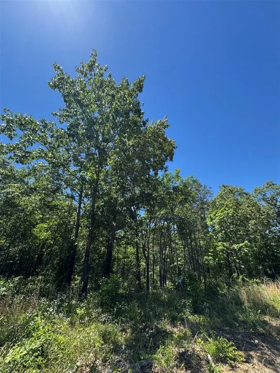 Photo 6 — 48 Hillside Way, Watson, OK 74957