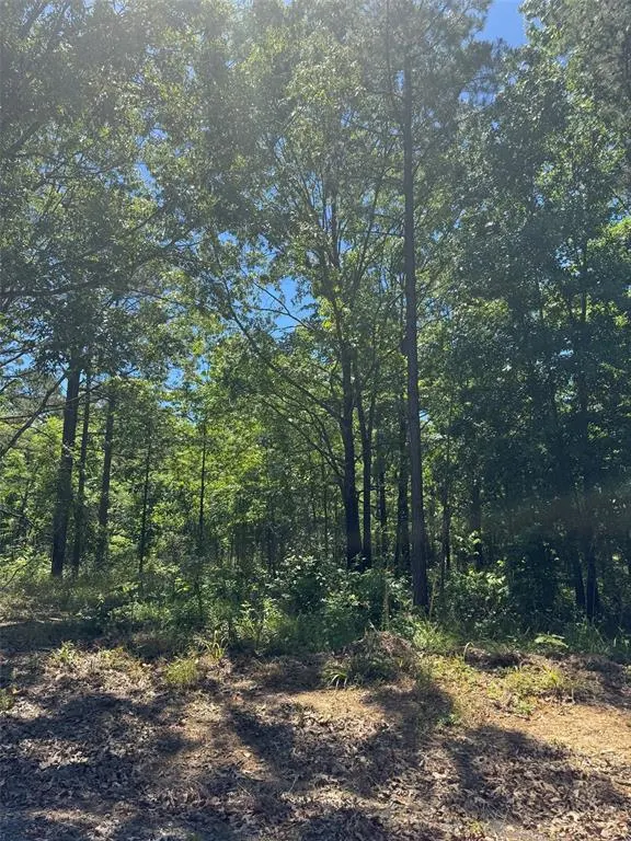 Photo 5 — 48 Hillside Way, Watson, OK 74957