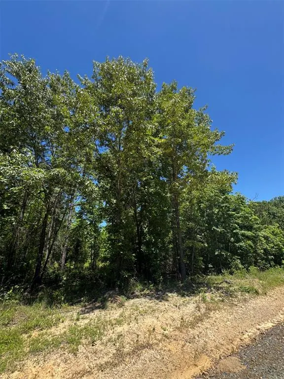 Photo 5 — 49 Hillside Way, Watson, OK 74957