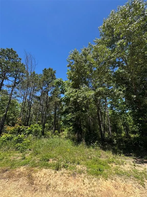 Photo 6 — 49 Hillside Way, Watson, OK 74957