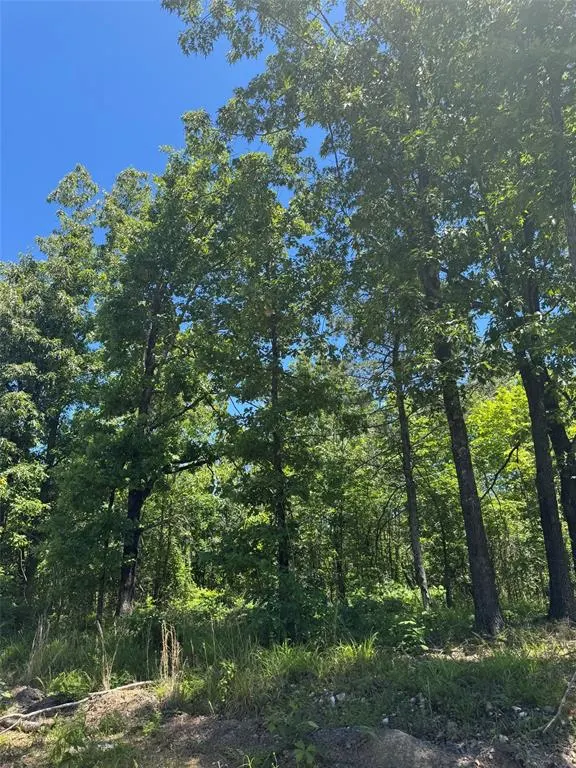 Photo 5 — 50 Vista Ridge Trail, Watson, OK 74957
