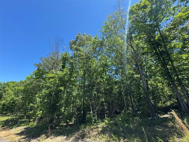 Photo 6 — 51 Vista Ridge Trail, Watson, OK 74957