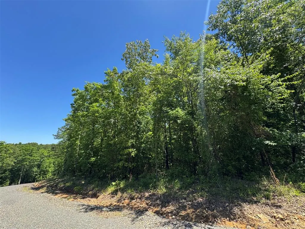Photo 5 — 53 Vista Ridge Trail, Watson, OK 74957