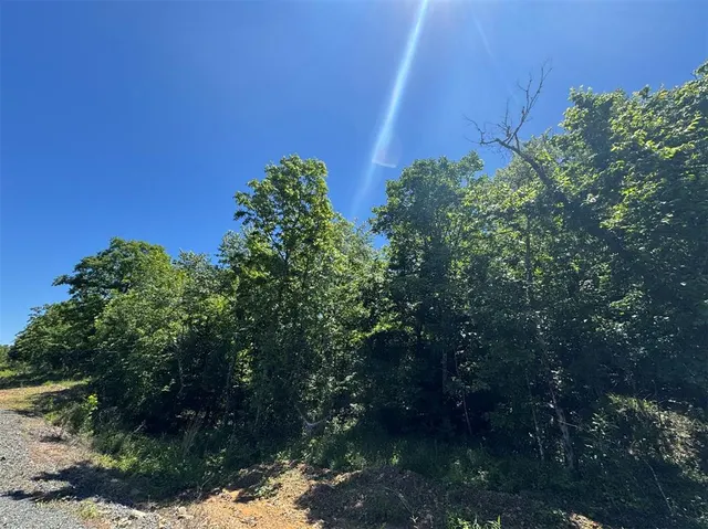 Photo 5 — 54 Vista Ridge Trail, Watson, OK 74957