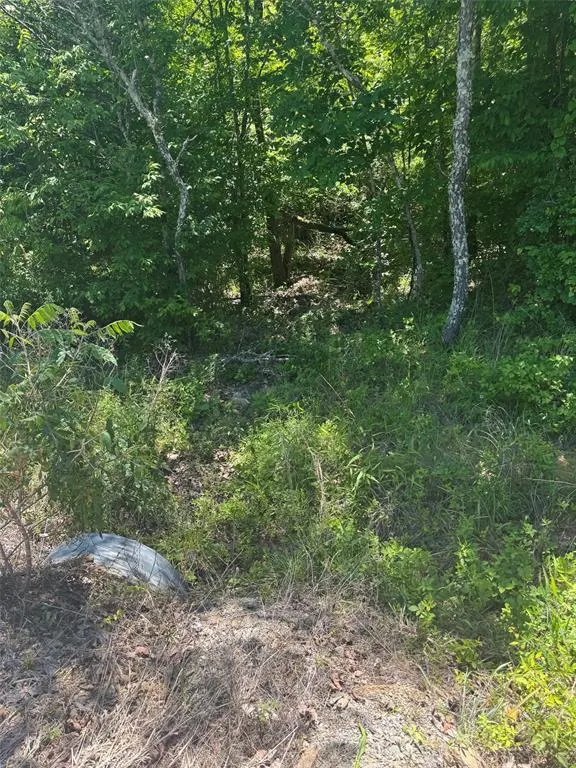 Photo 6 — 54 Vista Ridge Trail, Watson, OK 74957