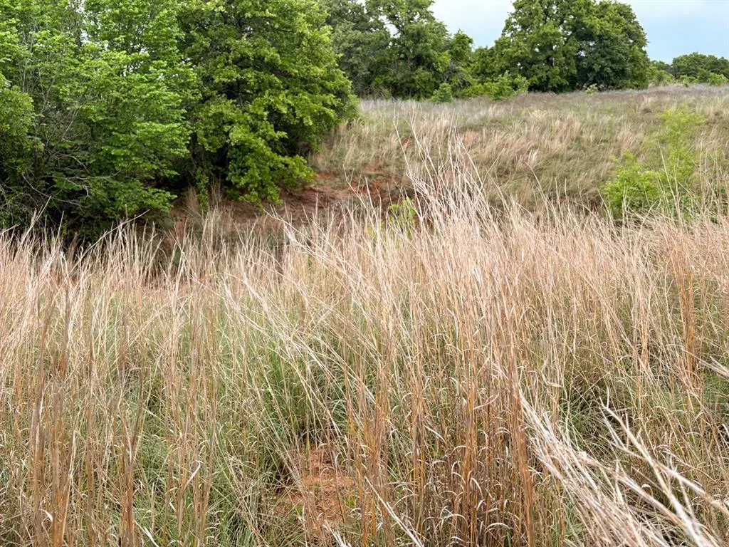 Photo 38 — 2205 N County Road 1560 Road, Rush Springs, OK 73082