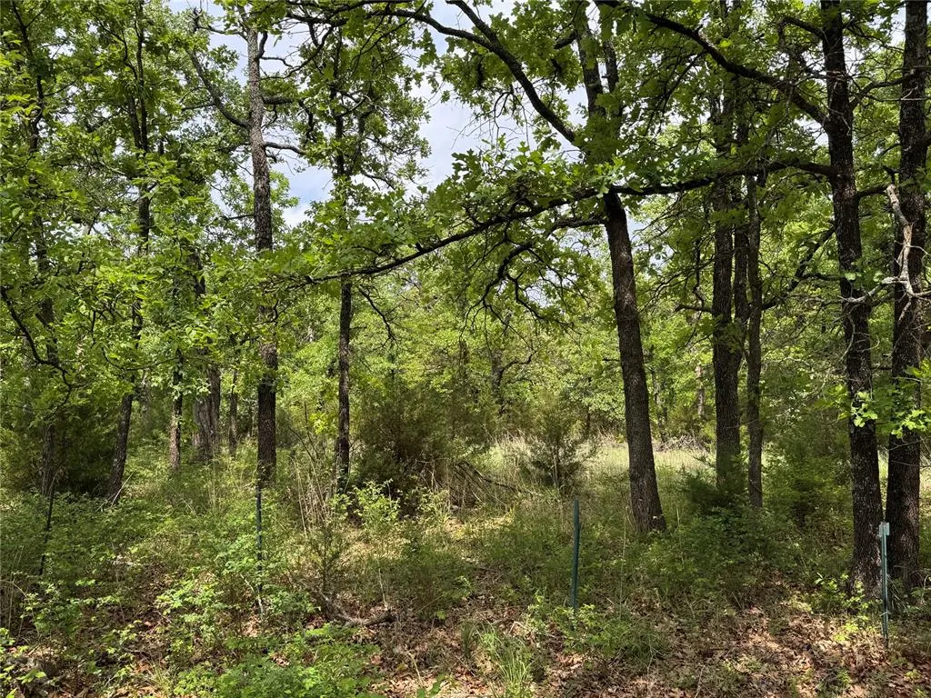 Photo 17 — 29887 Pottawatomie Road, Macomb, OK 74852