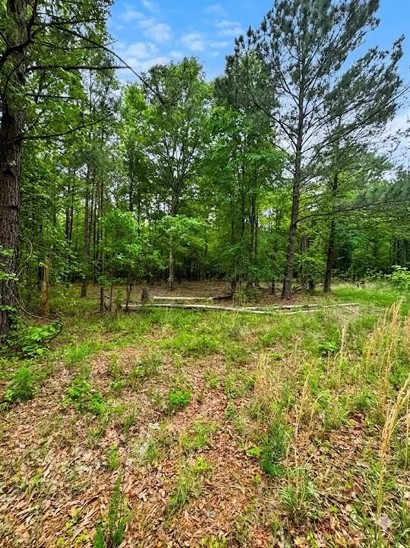 Photo 4 — N US-259 Frontage Highway, Broken Bow, OK 74728