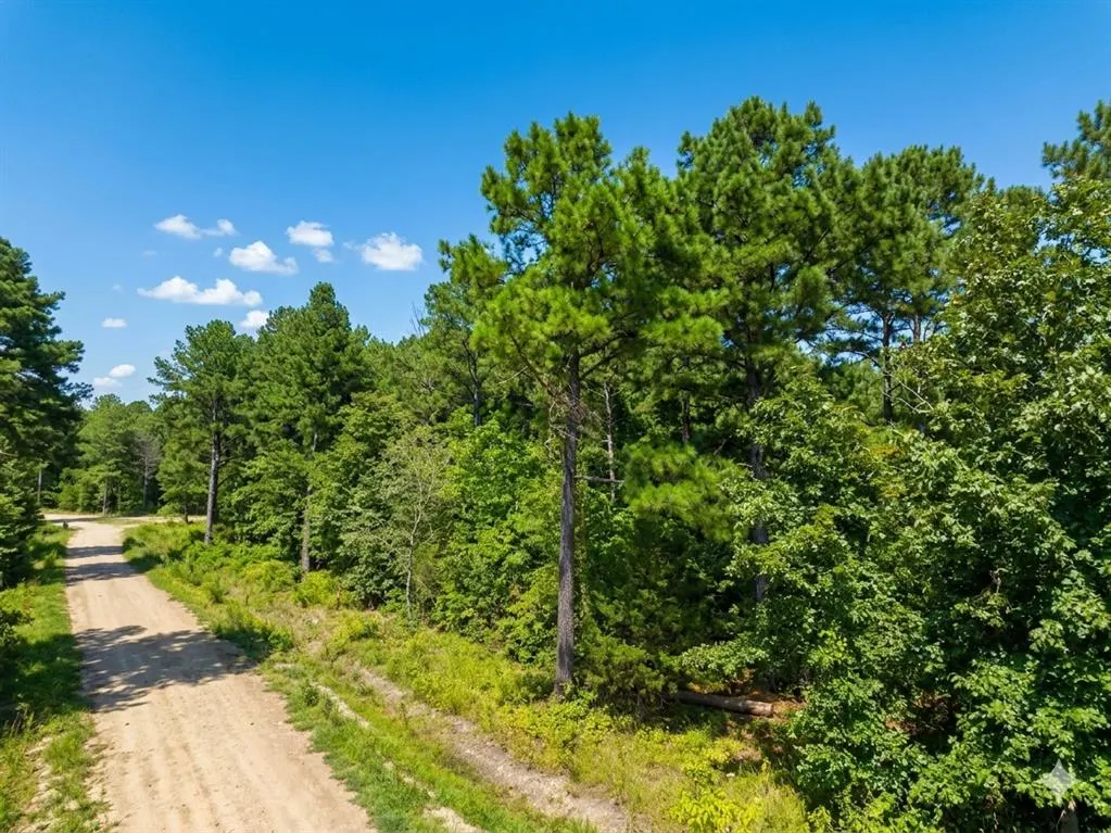 Front exterior — 176 Xpress Lane, Hochatown, OK 74728