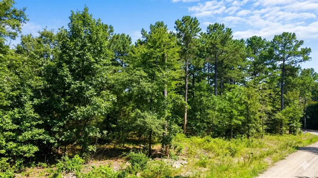 Photo 2 — 176 Xpress Lane, Hochatown, OK 74728