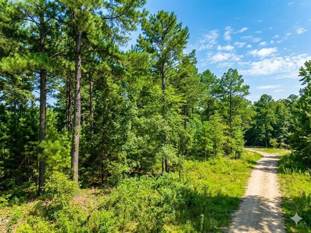Photo 4 — 176 Xpress Lane, Hochatown, OK 74728