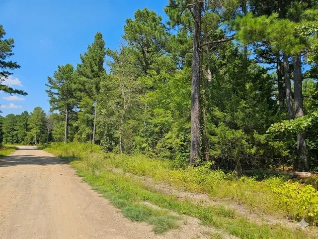 Photo 5 — 176 Xpress Lane, Hochatown, OK 74728