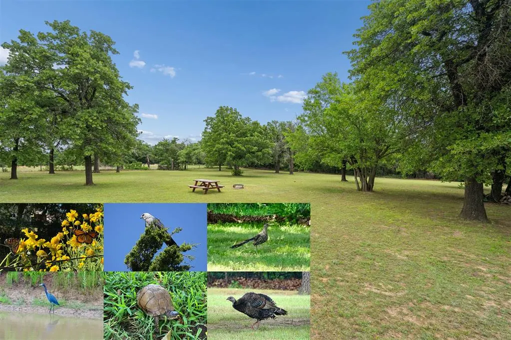 Photo 48 — 220 Bobby Mankin Drive, Choctaw, OK 73020