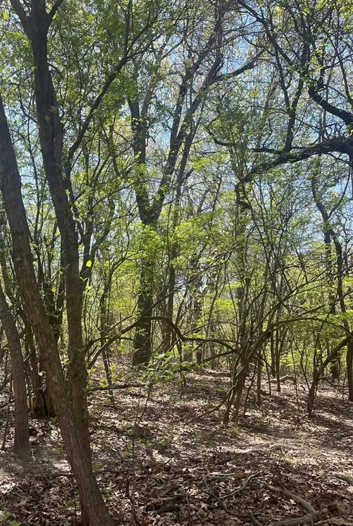 Photo 2 — .55 Acres, Peaceful Acres II, Eufaula, OK 74432
