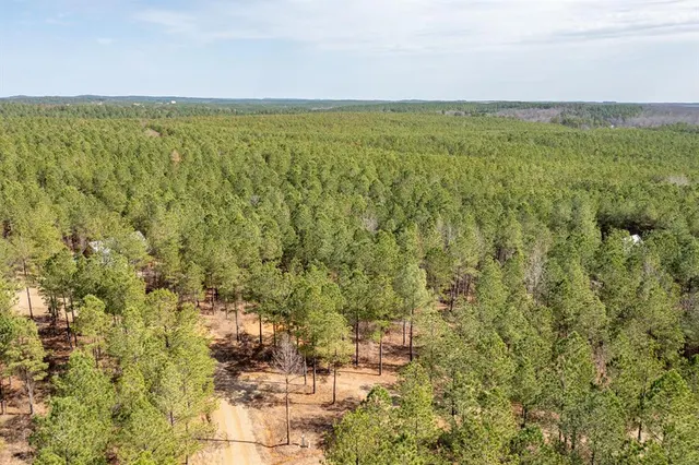 Photo 3 — 224 Cedar Hills Trail, Broken Bow, OK 74728