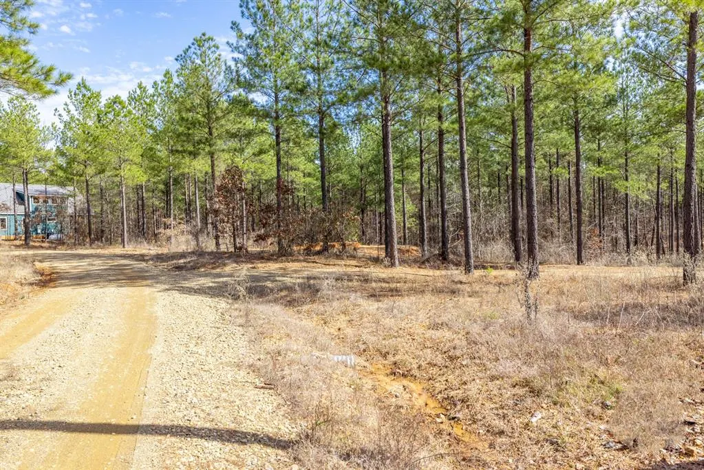 Photo 4 — 224 Cedar Hills Trail, Broken Bow, OK 74728