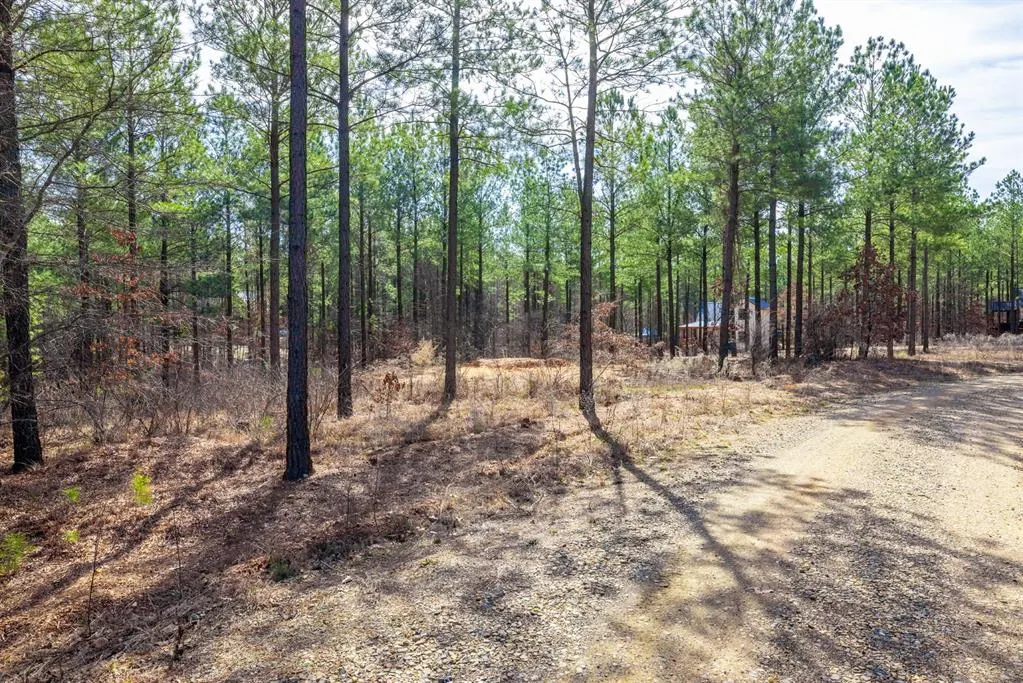Photo 7 — 224 Cedar Hills Trail, Broken Bow, OK 74728