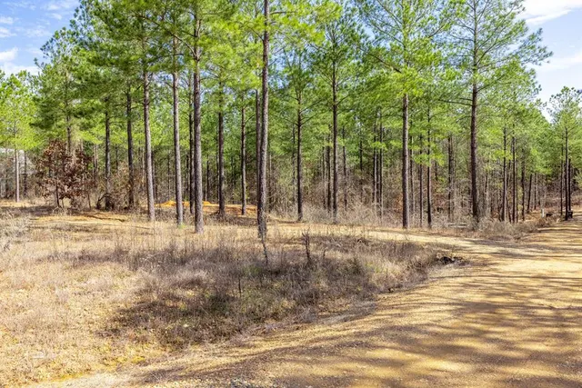 Photo 8 — 224 Cedar Hills Trail, Broken Bow, OK 74728