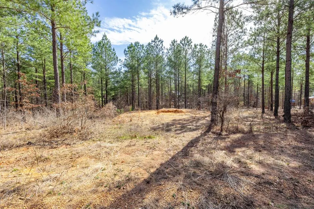 Photo 9 — 224 Cedar Hills Trail, Broken Bow, OK 74728