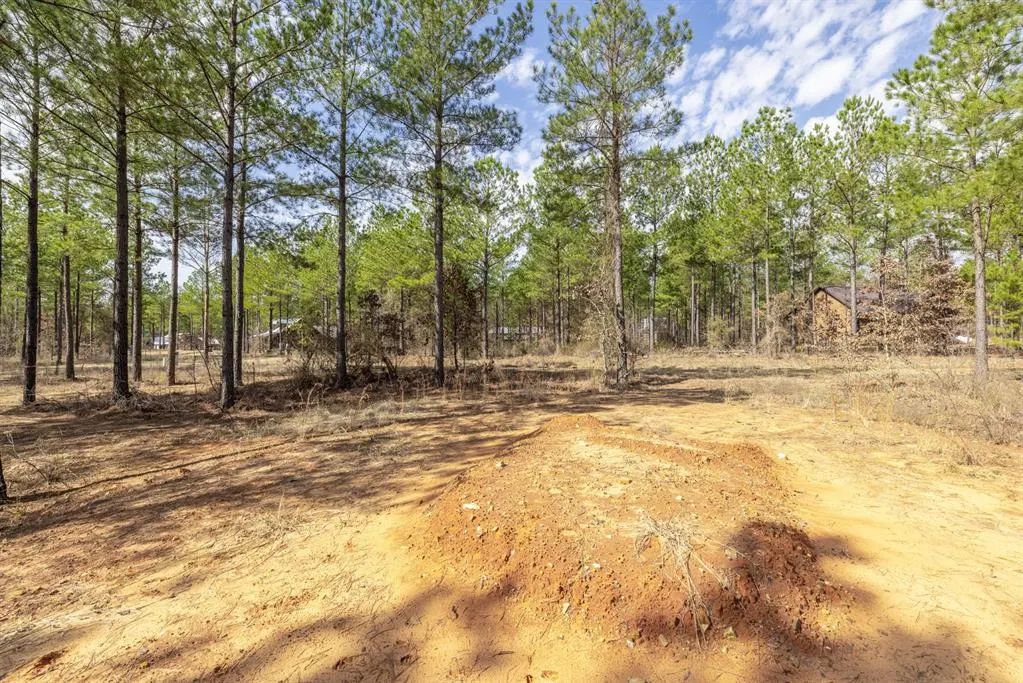 Photo 10 — 224 Cedar Hills Trail, Broken Bow, OK 74728
