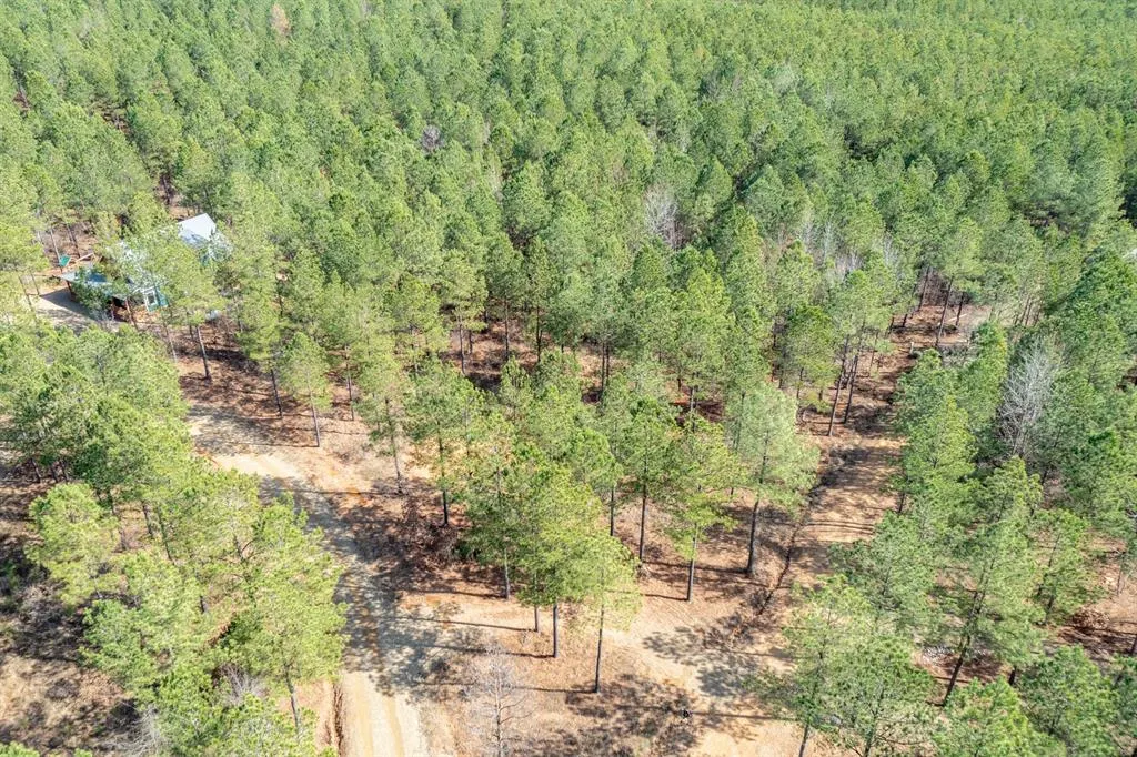 Photo 11 — 224 Cedar Hills Trail, Broken Bow, OK 74728
