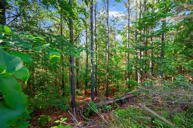 Photo 4 — 44 Watsons Way, Broken Bow, OK 74728