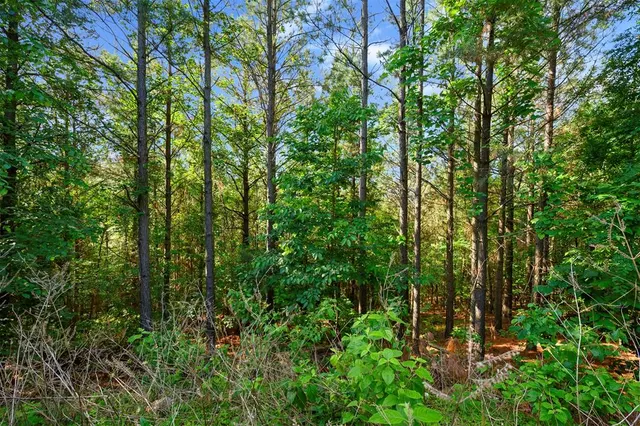 Photo 5 — 44 Watsons Way, Broken Bow, OK 74728