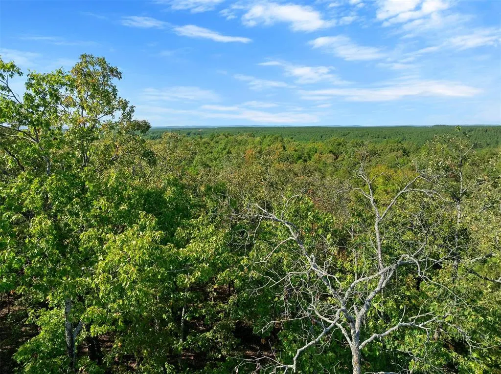 Photo 5 — 153 Conifer Crest Trail, Broken Bow, OK 74728