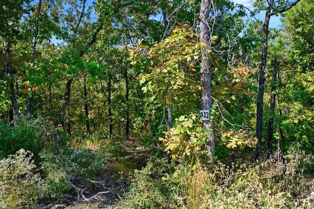 Photo 6 — 153 Conifer Crest Trail, Broken Bow, OK 74728