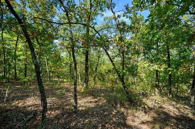Photo 7 — 153 Conifer Crest Trail, Broken Bow, OK 74728