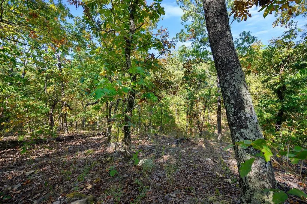 Photo 8 — 153 Conifer Crest Trail, Broken Bow, OK 74728