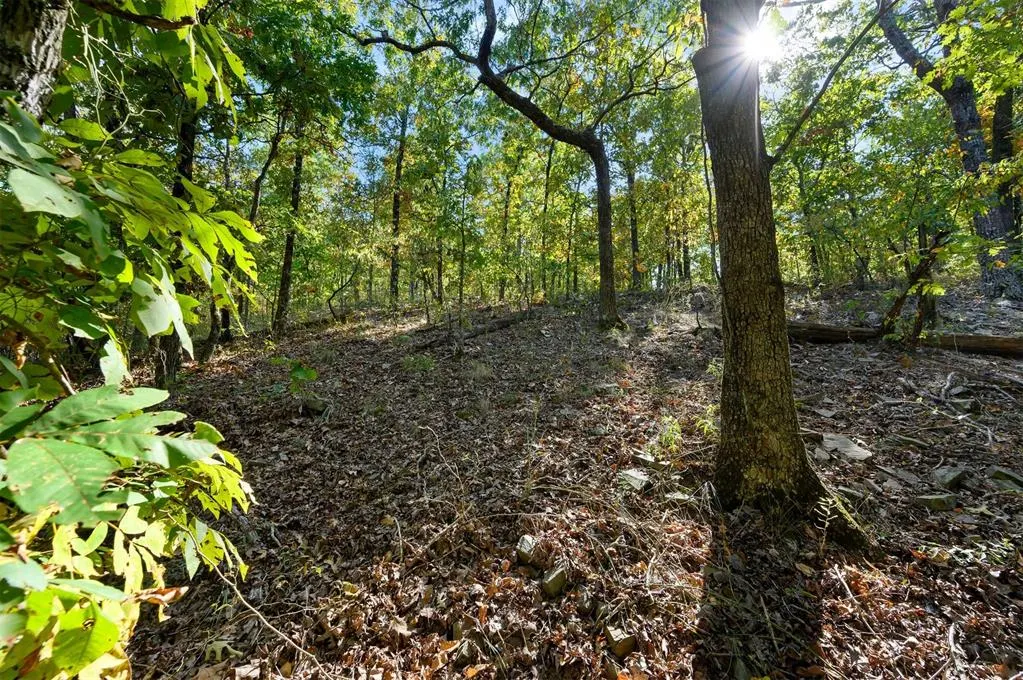 Photo 10 — 153 Conifer Crest Trail, Broken Bow, OK 74728