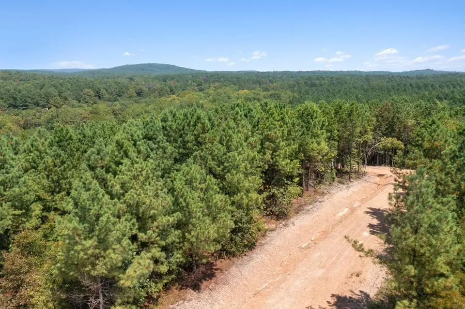 Front exterior — 309 Stump End Lane, Broken Bow, OK 74728