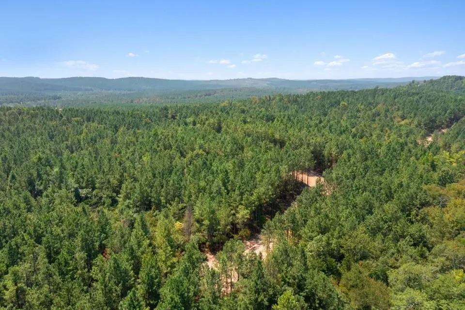 Photo 4 — 309 Stump End Lane, Broken Bow, OK 74728