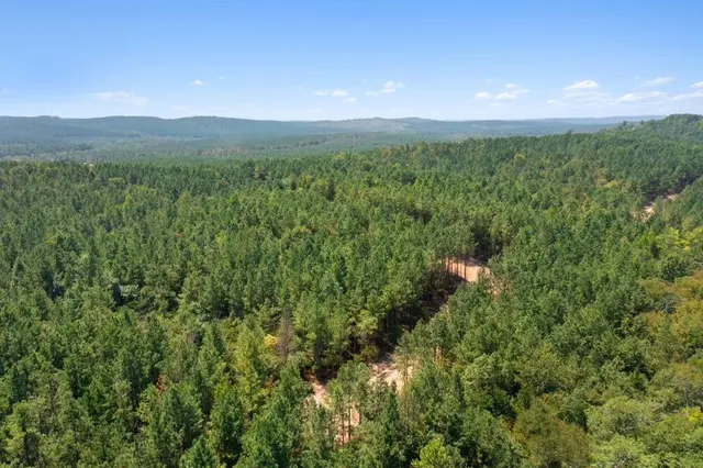 Photo 4 — 309 Stump End Lane, Broken Bow, OK 74728