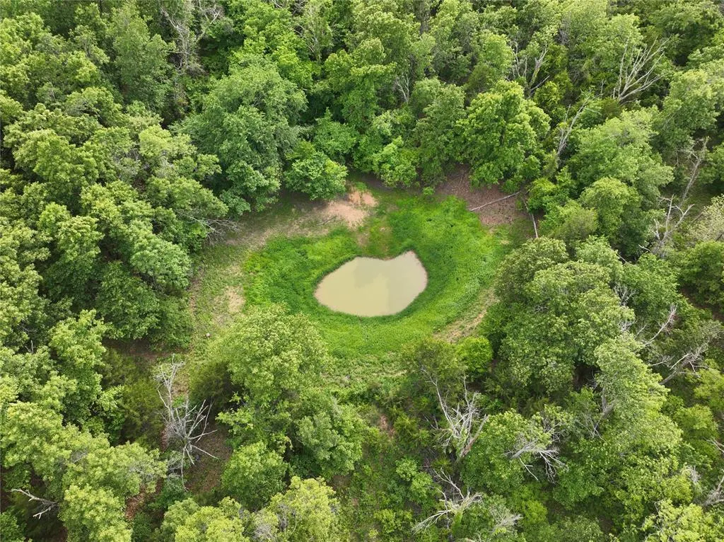 Photo 24 — Green Moss Trail, Harrah, OK 73045