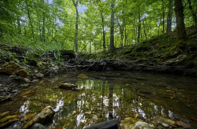 Photo 2 — 150 W Eagle Mountain Trail, Hochatown, OK 74728